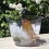ICE BUCKET 2 BOTTLES