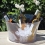 CHAMPAGNE BUCKET 3 to 6 bottles