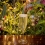 Verre à champagne Flûte élégance réutilisable et incassable.